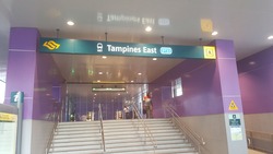 Blk 221 Tampines Street 24 (Tampines), HDB 3 Rooms #179888262